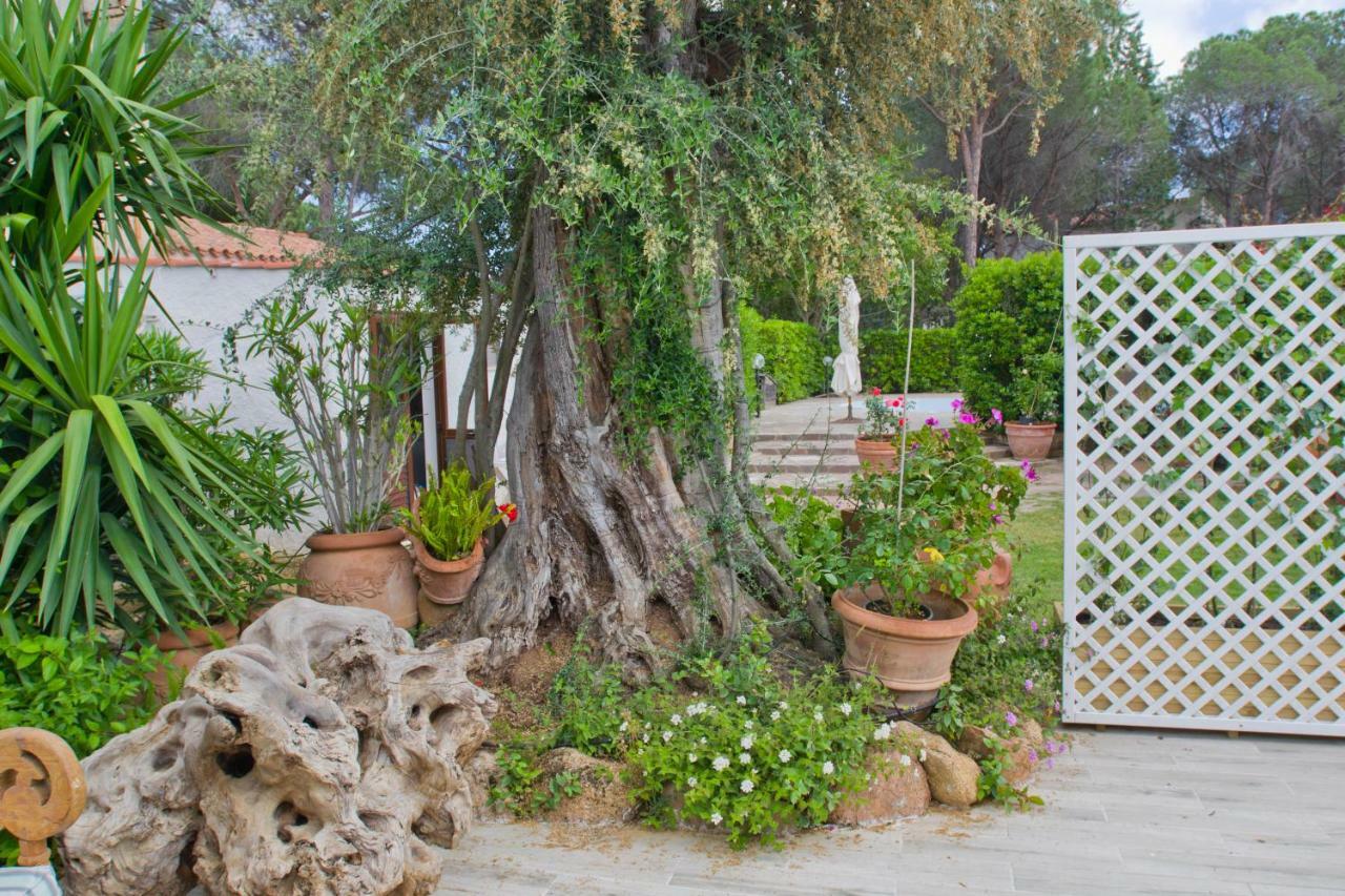 Jungle House - Pineta Is Morus Villa Santa Margherita di Pula Exterior photo